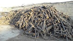 کشف 25 تن  چوب غیر مجاز جنگلی در 9 ماهه اول سالجاری در شهرستان سمنان