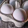 قیمت هر شانه تخم مرغ به ۴۰هزار تومان رسید!