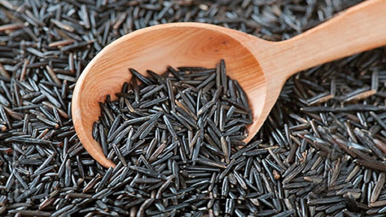از جلوگیری از پیری تا تنظیم قند خون؛ خواص شگفت انگیز برنج سیاه