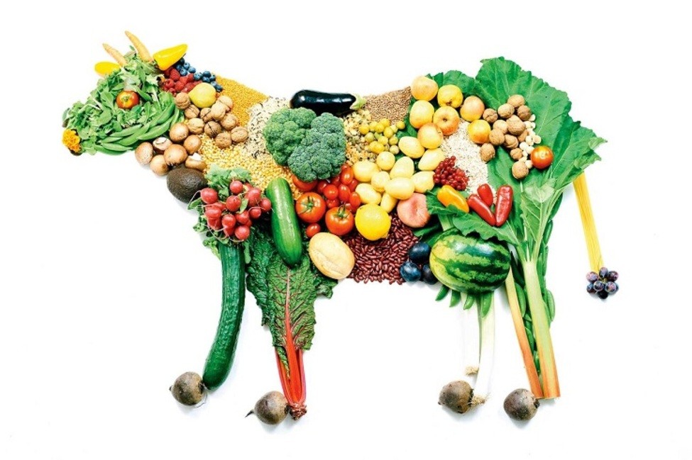 اثرات و فواید رژیم گیاه خواری چیست؟