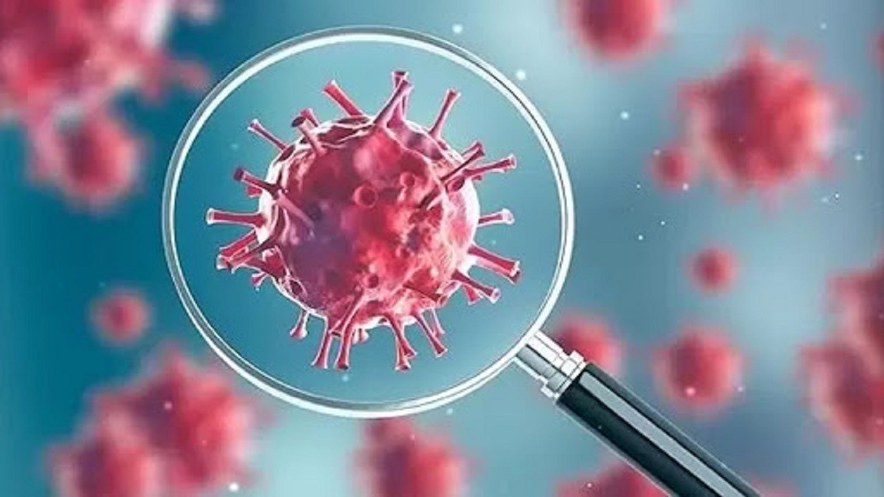 شناسایی ۲۶ مورد جدید مبتلا به کرونا ویروس در ایلام/ بدون مورد فوتی