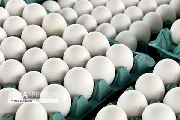 تعیین قیمت مصوب برای تخم مرغ بسته‌بندی شده/ هر بسته ۳۶ تایی شیرینگ پک؛ ۳۶ هزار تومان