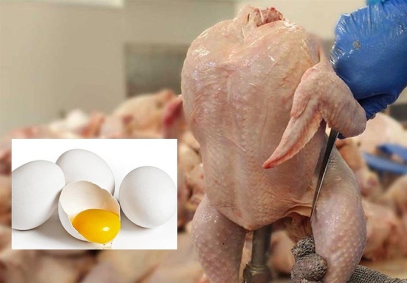 واکنش فعالان مرغ و تخم‌مرغ به حذف دلار ۴۲۰۰|موافقان:گران می‌شود ولی مردم مجبورند بخرند/مخالفان:مرغ هم مثل گوشت از سفره می‌پرد