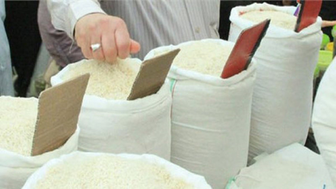 قیمت برنج ثبات پیدا کرده است