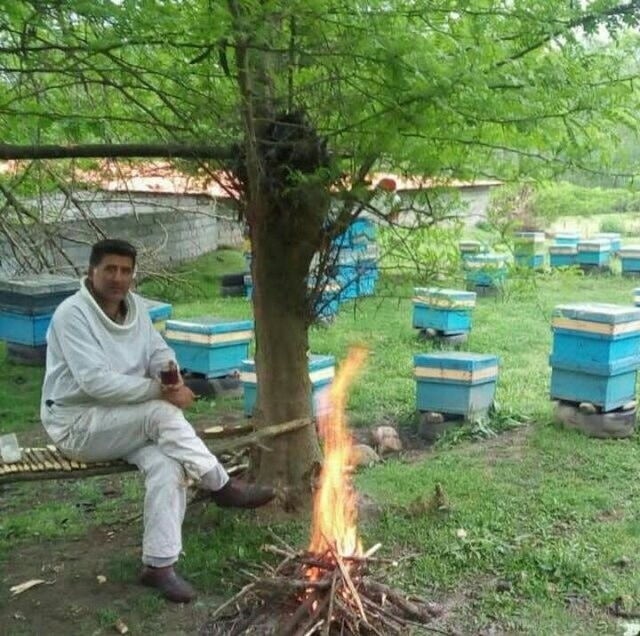 رد پای مافیا در فروش زهر زنبور عسل