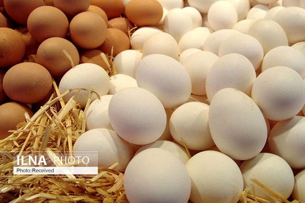 ادامه گران‌فروشی تخم مرغ بسته‌بندی شده/ لزوم نظارت وزارت صمت برای جلوگیری از گران‌فروشی در نوروز
