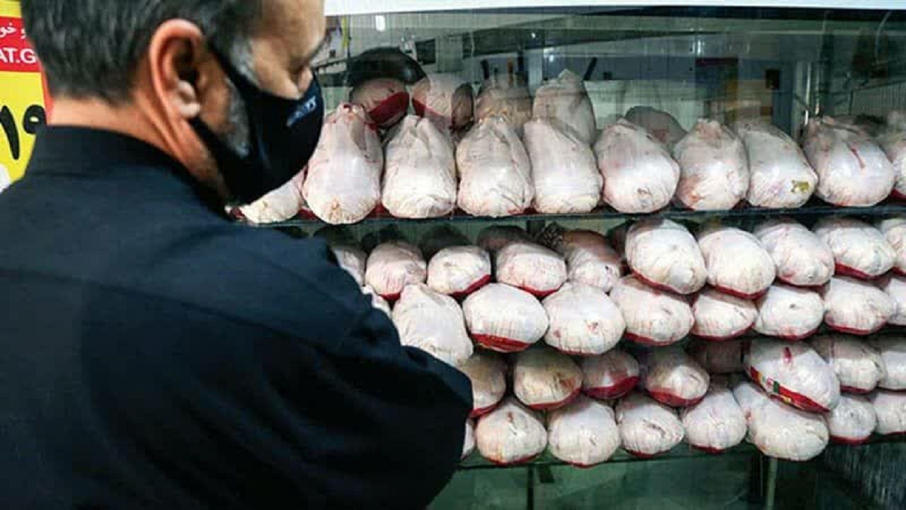قیمت مرغ در اصفهان رو به کاهش است