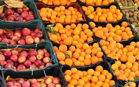خاکزاد: اختلاف قیمت میوه از زمین تا کف بازار به حدود ۱۰۰ درصد می رسد