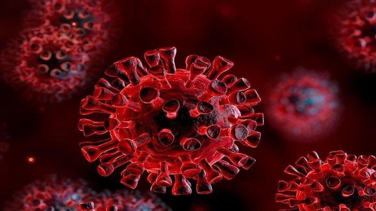 شناسایی ۵۵ مورد جدید مبتلا به کرونا ویروس در ایلام / بدون مورد فوتی