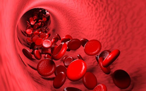 گروه خونی افراد در افزایش خطر ابتلا به بیماری کرونا موثر است؟