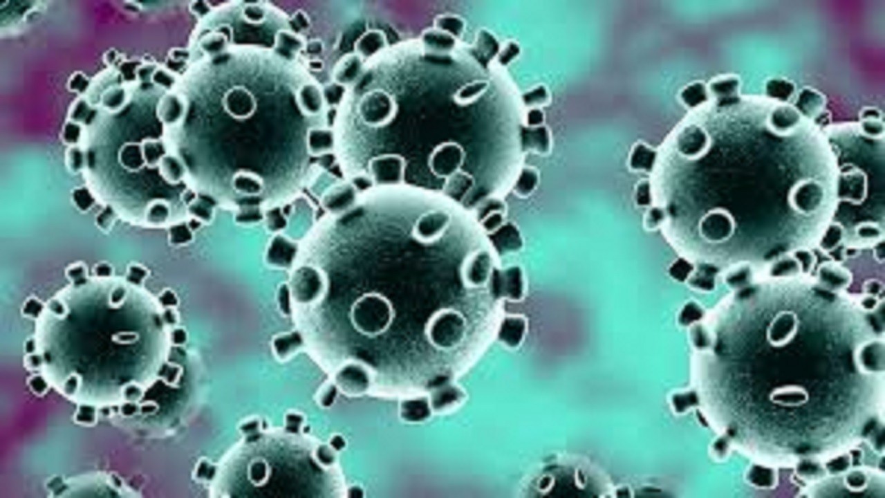 شناسایی ۲۷۱ مورد جدید مبتلا به کرونا ویروس /ثبت ۳ مورد فوتی
