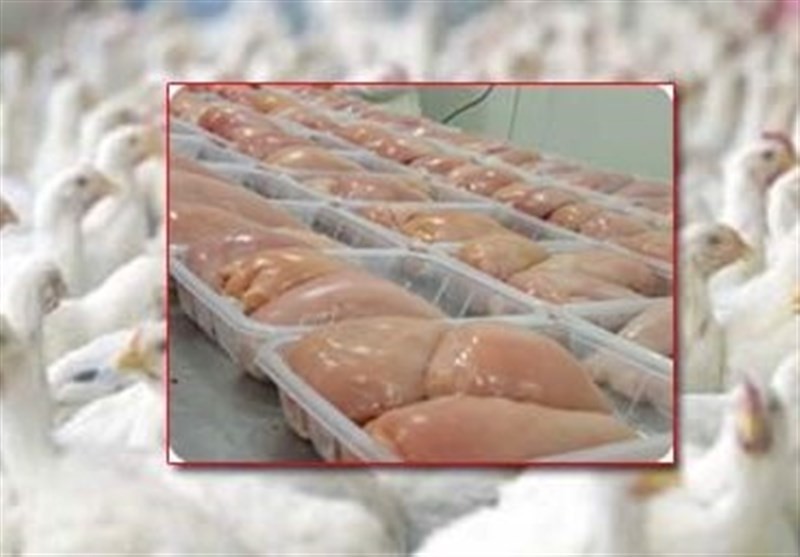 مشکلی برای تامین گوشت مرغ در آذربایجان‌غربی وجود ندارد