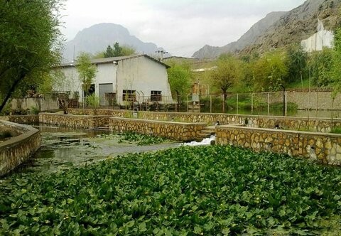 سراب نیلوفر خرم آباد ثبت ملی شد
