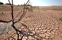 زنگ خطر خشکسالی در خراسان جنوبی به صدا در آمده است