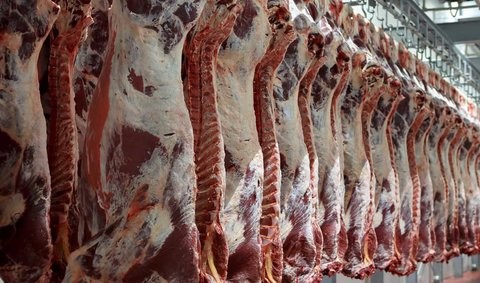 قیمت گوشت قرمز در بازار امروز ۳۱ فروردین +جدول
