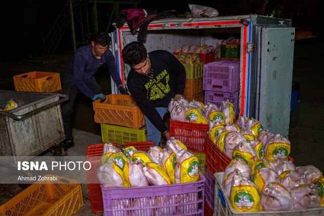 تمایل فروش مرغ منجمد به خوزستان / احتمال بهبود وضعیت در هفته آینده