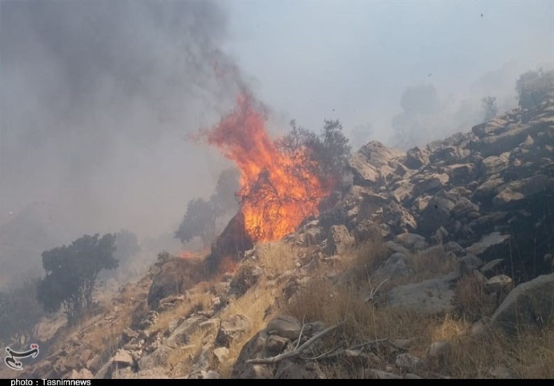 آتش در ارتفاعات باشت مجدد شعله‌ور شد/عملیات مهار حریق به سختی در حال انجام است