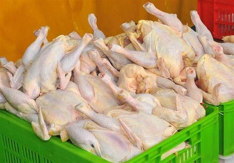 هیچ گونه کمبودی در تامین مرغ مورد نیاز بازار همدان وجود ندارد