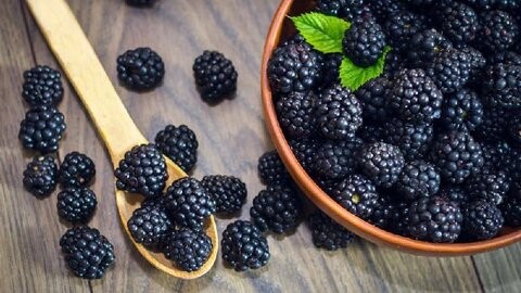 خواص توت سیاه و برگ توت سیاه برای دیابت و کلسترول
