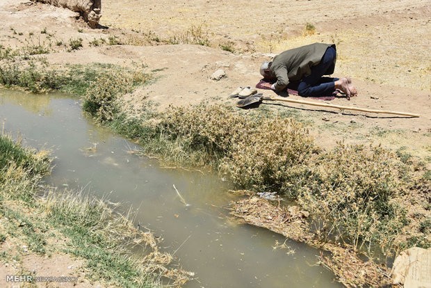 باغ‌های دهاقان در خطر خشکسالی/چاه‌های غیرمجاز مقصر اصلی هستند
