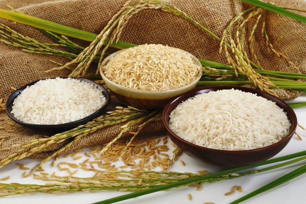کاهش واردات برنج خارجی/ قیمت برنج خارجی افزایش نداشته است