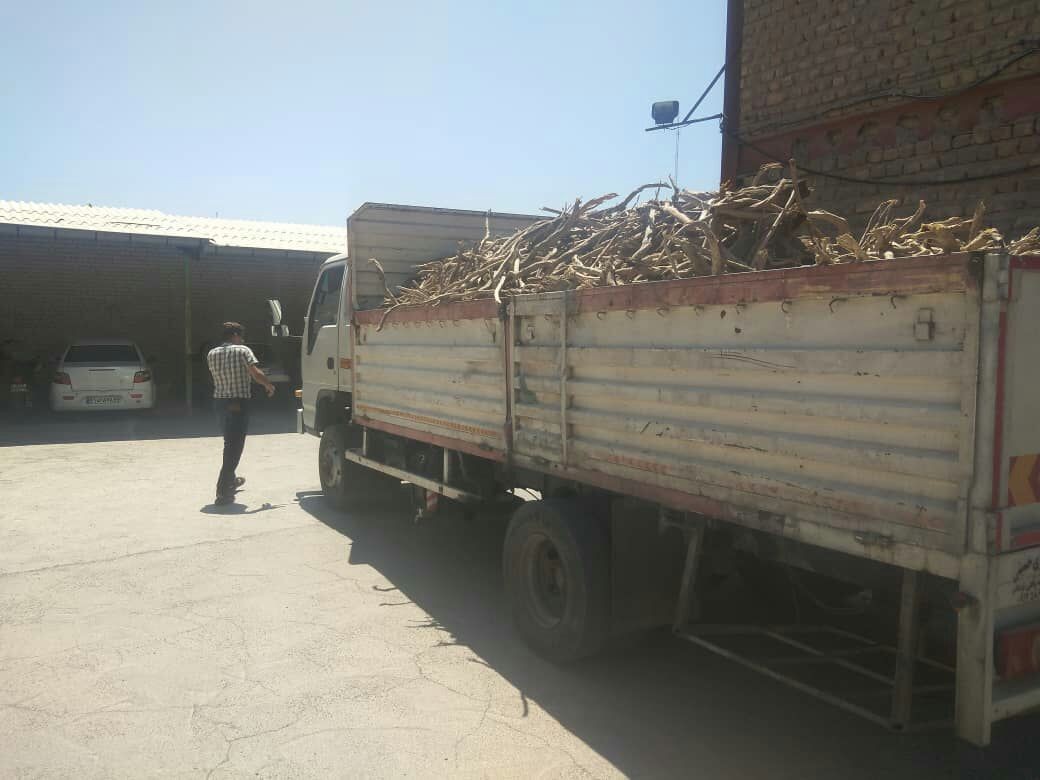 کشف محموله چوب جنگلی تاغ و انهدام کوره های غیر مجاز زغال در شهرستان مشهد