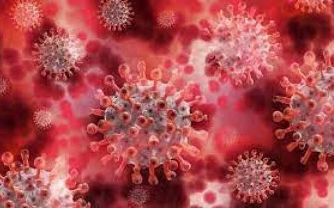 ویروس کرونا چقدر در بدن بیمار می ماند؟