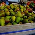 گلابی در صدر گران‌ترین میوه‌های بازار