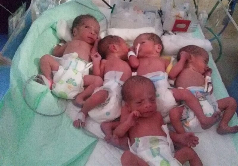 تولد ۵ قلوها در شیراز؛ نوزادان در بخش مراقبت‌های ویژه هستند