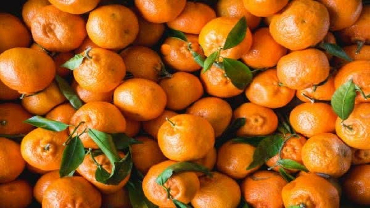 نارنگی‌های موجود در بازار رنگ‌آوری شده و مضر است