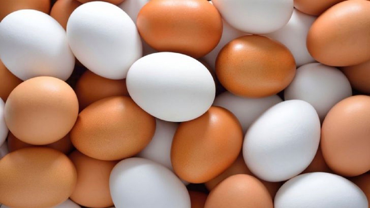 قیمت تخم مرغ در ثبات/ گوشت گوساله در بازار کیلویی ۱۲۵ هزار تومان است