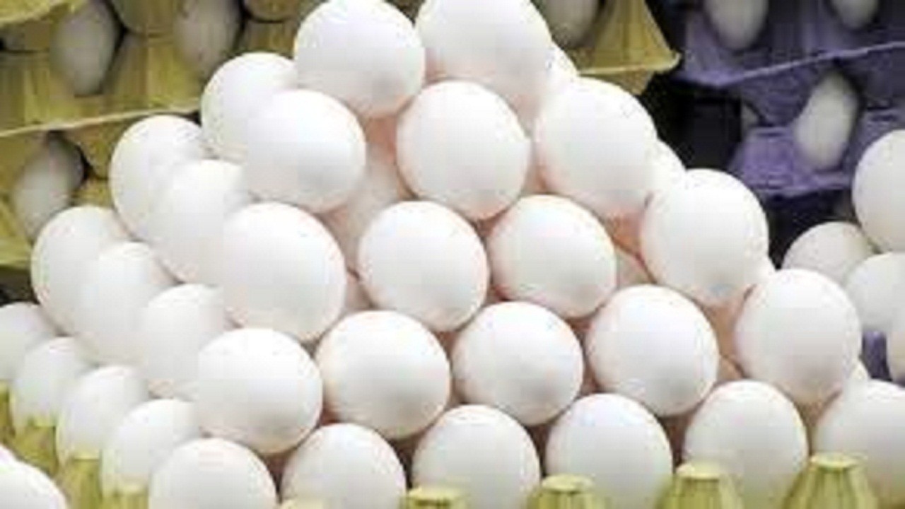صادرات علت اصلی افزایش قیمت تخم مرغ در همدان