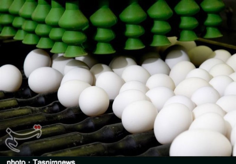 نرخ هر شانه تخم‌مرغ در همدان به بالای ۵۵ هزار تومان رسید