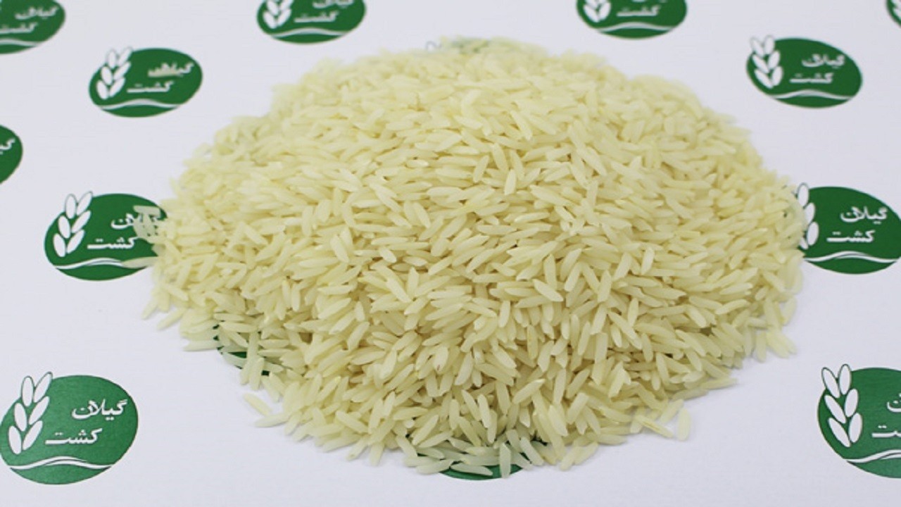 قیمت قارچ، برنج و بوقلمون در میادین چند است؟