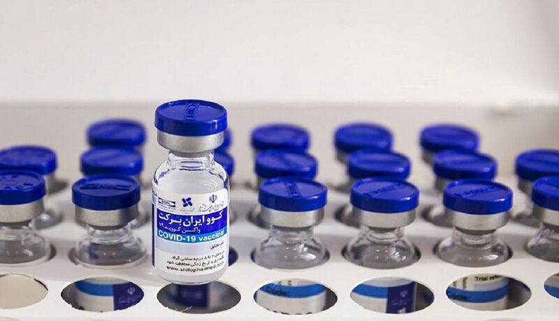 مدیرعامل پروژه تولید واکسن کووایران برکت:                 تولید ۱۴ میلیون دز واکسن برکت/ ۶ میلیون دز تحویل وزارت بهداشت شد