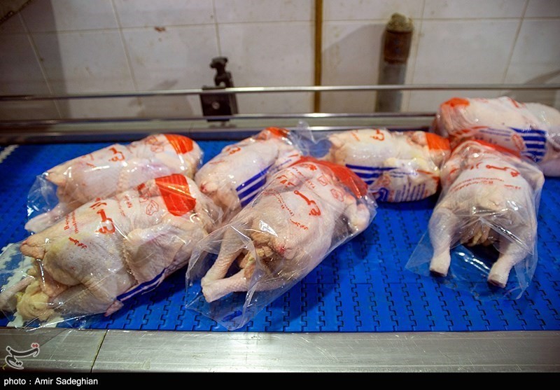 نظارت بازرسان بر بازار مرغ در استان کرمانشاه تشدید می‌شود/ وعده توزیع ۵۰۰ تن مرغ در روزهای آینده