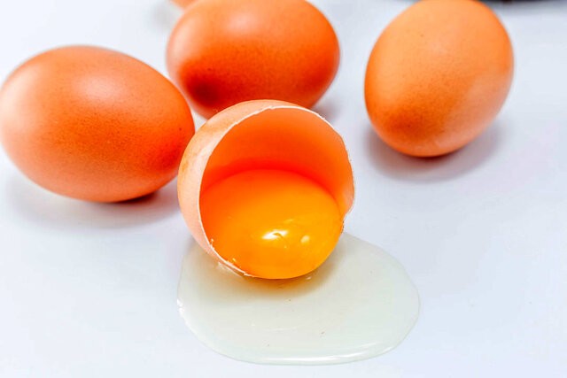 تخم مرغ باعث افزایش کلسترول خون نمی‌شود/ یک تخم مرغ معادل ۳۰ گرم انواع گوشت است