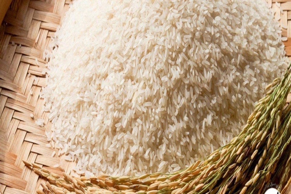 رکود و ثبات قیمت در بازار برنج، حبوبات و چای/ توزیع برنج ۱۳ هزار تومانی توسط شرکت بازرگانی دولتی ایران