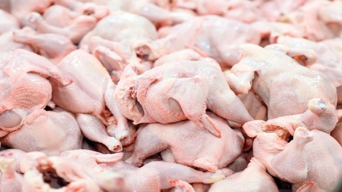 قیمت مرغ در همدان ۵ هزار تومان ارزان‌تر از نرخ مصوب است