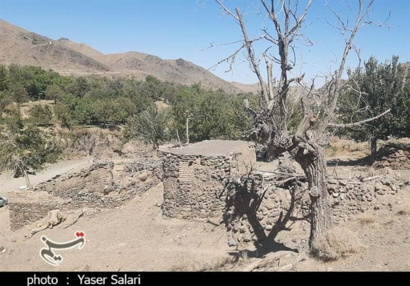 خشکسالی ۲۴۸۰ میلیارد تومان خسارت به بخش کشاورزی استان خراسان جنوبی وارد کرد