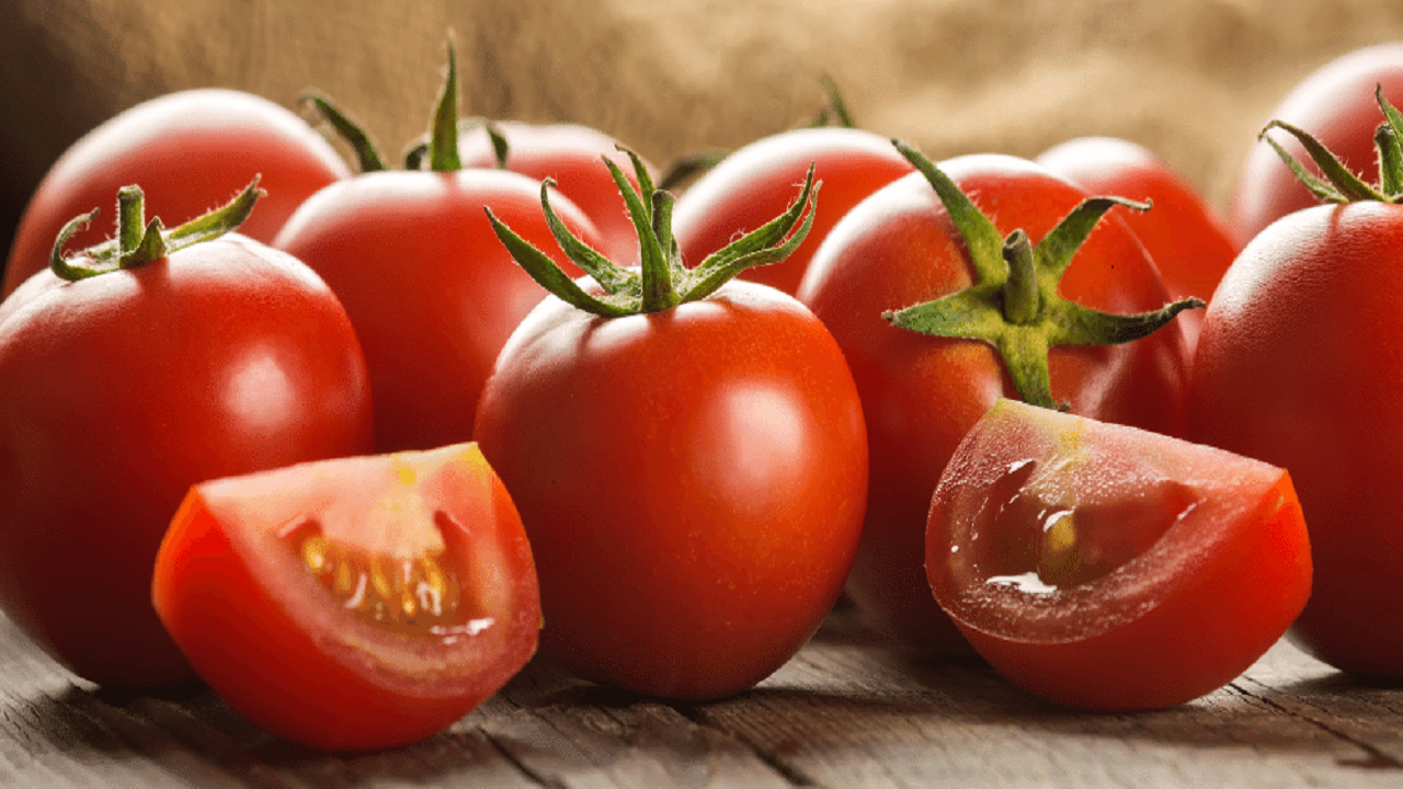 هزینه بالای حمل و نقل علت اصلی نوسان قیمت گوجه فرنگی