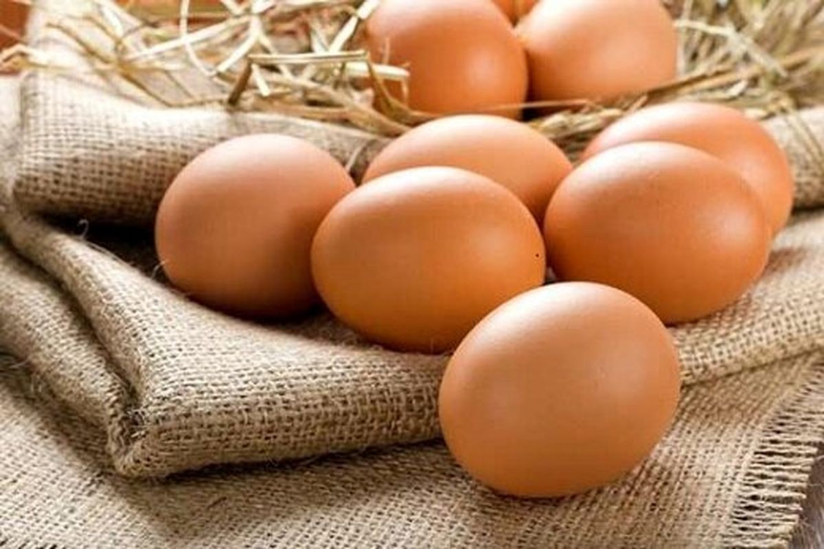 منتظر تخم‌مرغ ۳۶۰۰ و مرغ ۸۰هزار تومانی باشیم؟