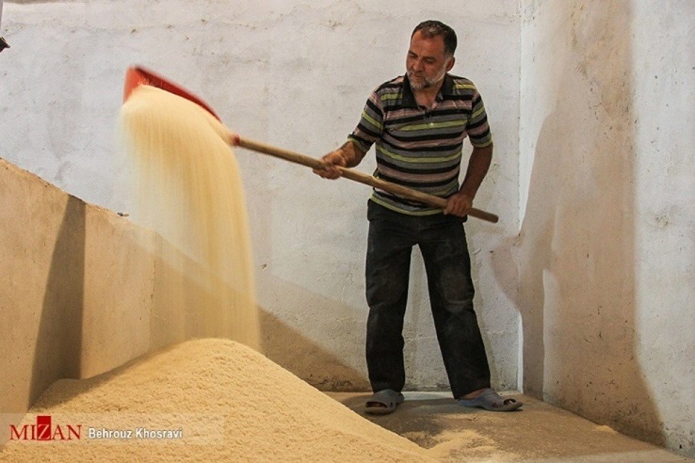افزایش قیمت برنج ایرانی روی موج شایعات/قیمت برنج ایرانی در بازار ۳۷ الی ۶۲ هزار تومان است