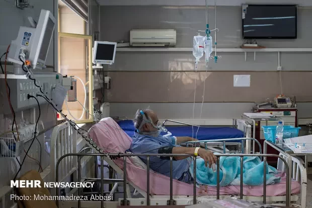 بستری ۱۱۴ بیمار جدید مبتلا به کرونا در فارس