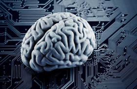 مغز انسان به مثابه یک سازمان اقتصادی است/ساماندهی دانش بنیان ها با کمک ساختار مغز