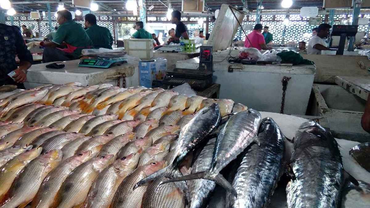 قیمت انواع ماهی در میادین امروز ۲۵ دی ۱۴۰۰