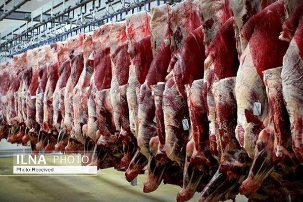 نرخ گوشت گوسفندی اعلام شد/ آغاز عرضه گوشت تنظیم بازاری برای کنترل قیمت