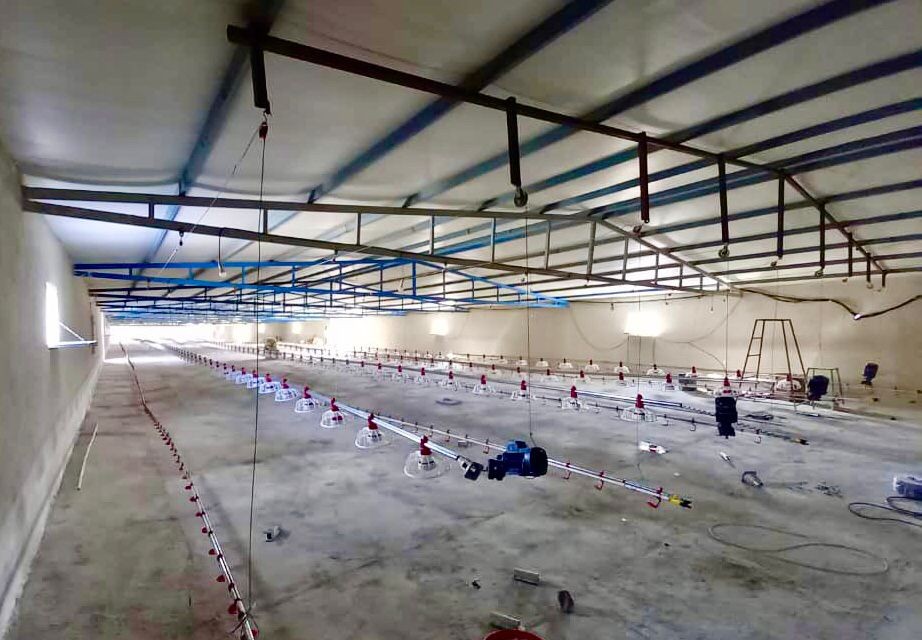 ٨ واحد مرغداری جدید در شهرستان خاش در حال ساخت است