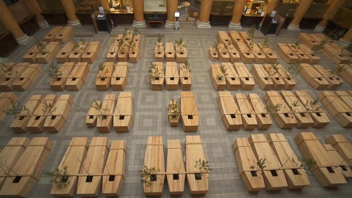 (ویدئو) پرورش گل و گیاه در تابوت مردگان!