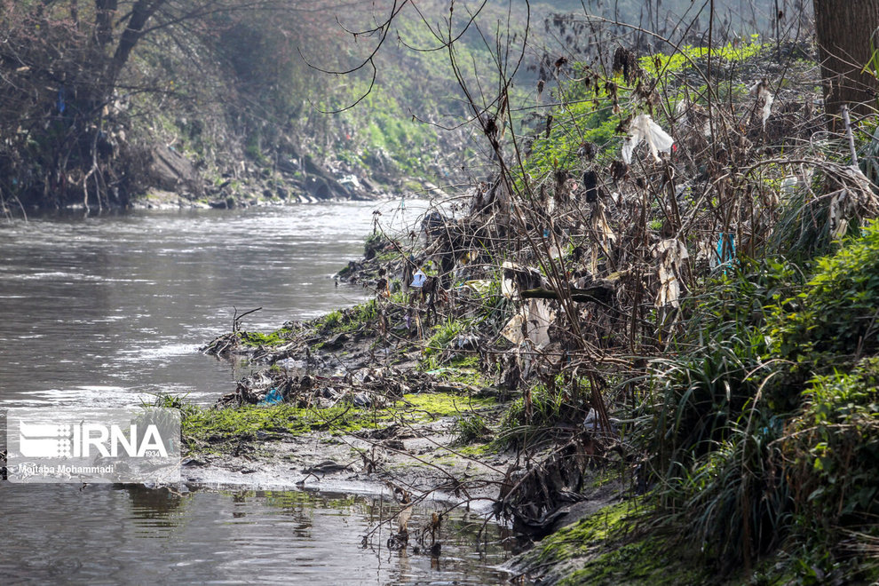 (تصاویر) آلودگی رودخانه‌های زرجوب و گوهررود رشت
